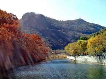 澳门二四六天天彩图库，重生逍遥游